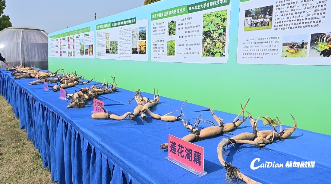 213114adfuztwwa08jpbat.jpg