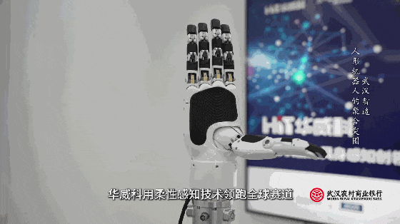 210907pb9b92r9bkks99oq.gif