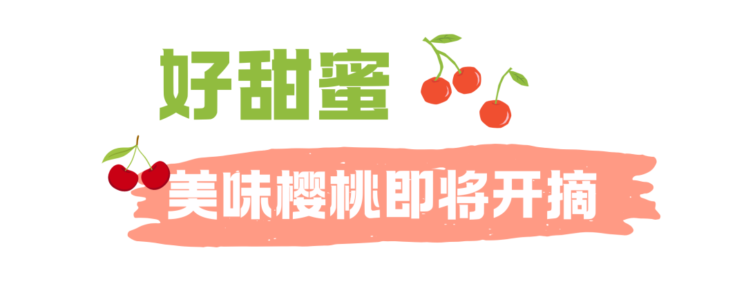 160700g1n9pvvyrupucvov.png