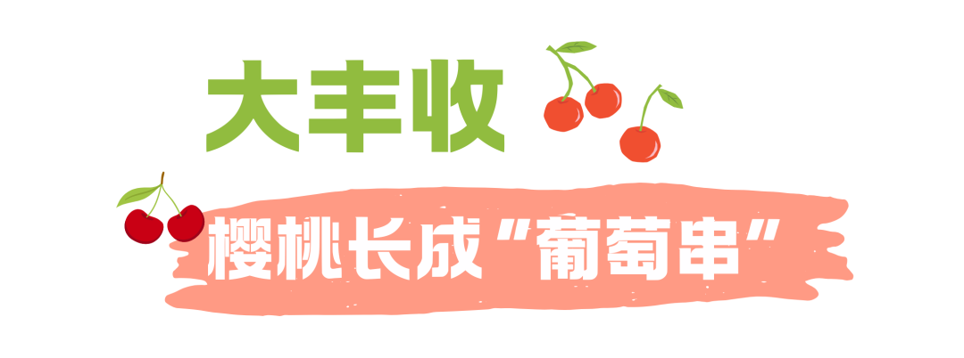 160701tbbx8xvxtso3qxvv.png