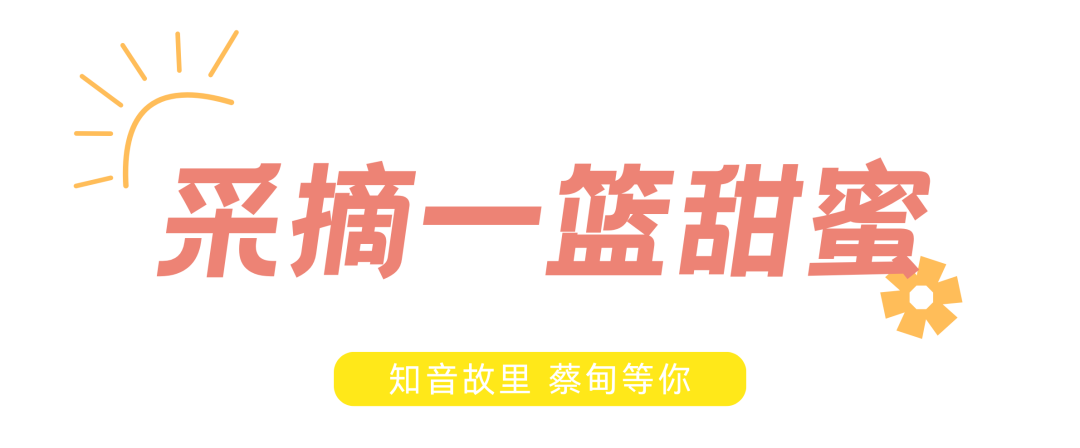 101436rx5jllwbj6zbzl3l.png