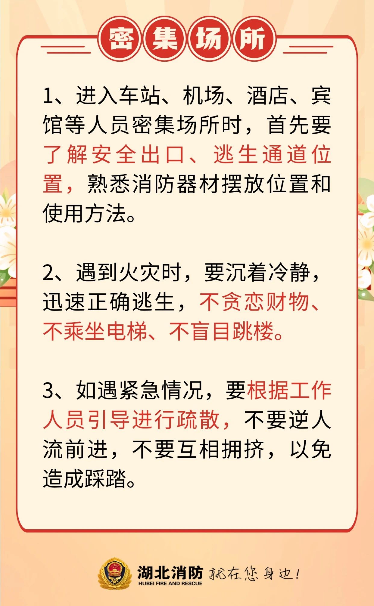 164355ohos9u6spp6s2y3l.jpg
