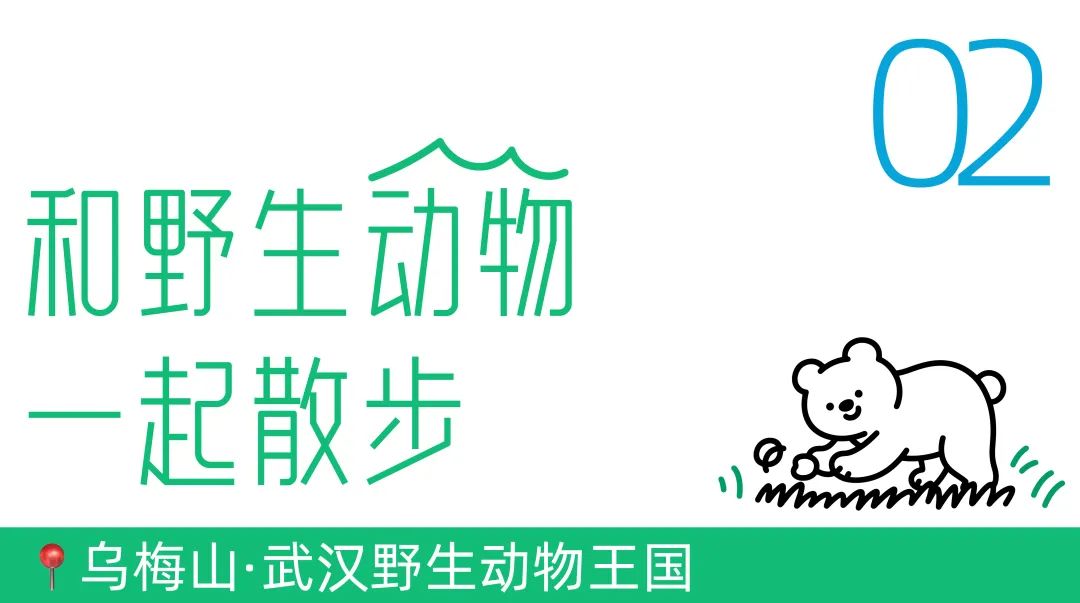 162332t9a4i041auarne51.jpeg