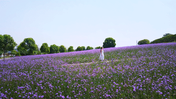162334cl90ar0lhr0ldl9d.gif