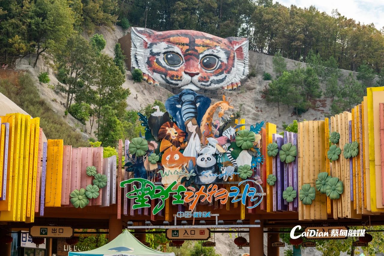 171118dl766cxctcglg3jt.jpeg