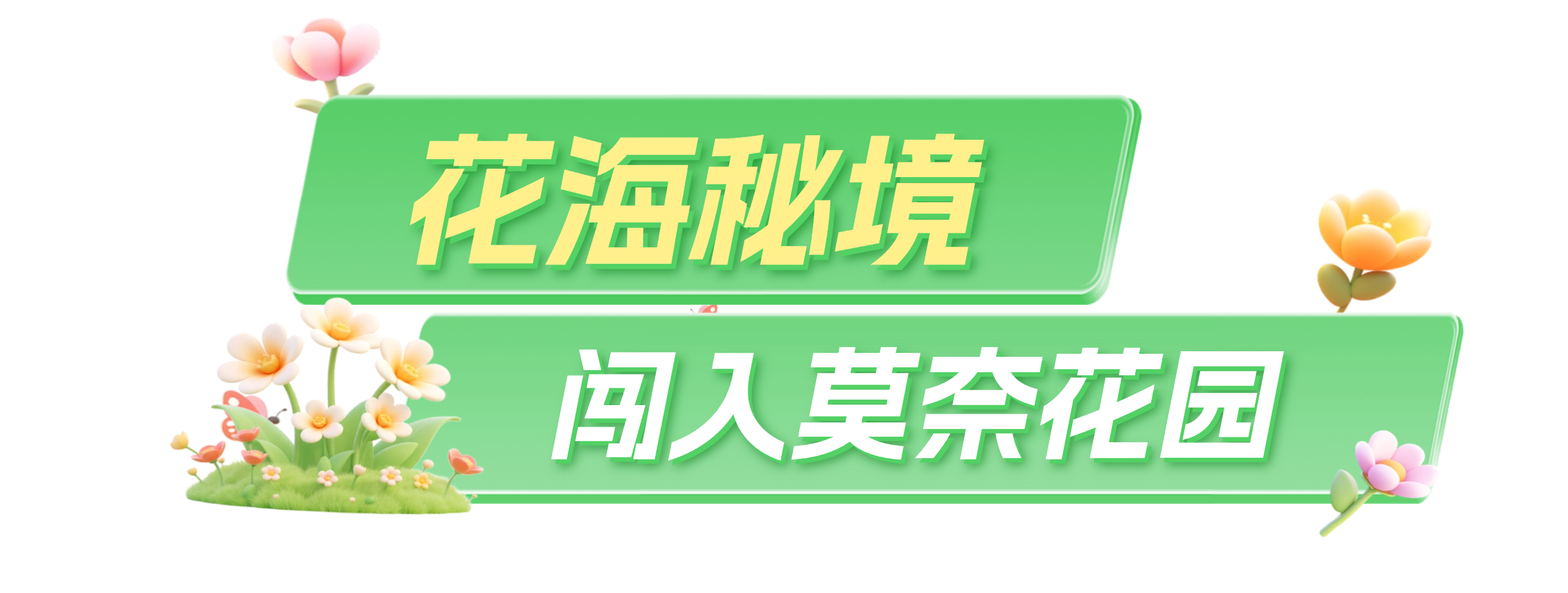 120237dc5c790hsd85fsvs.png