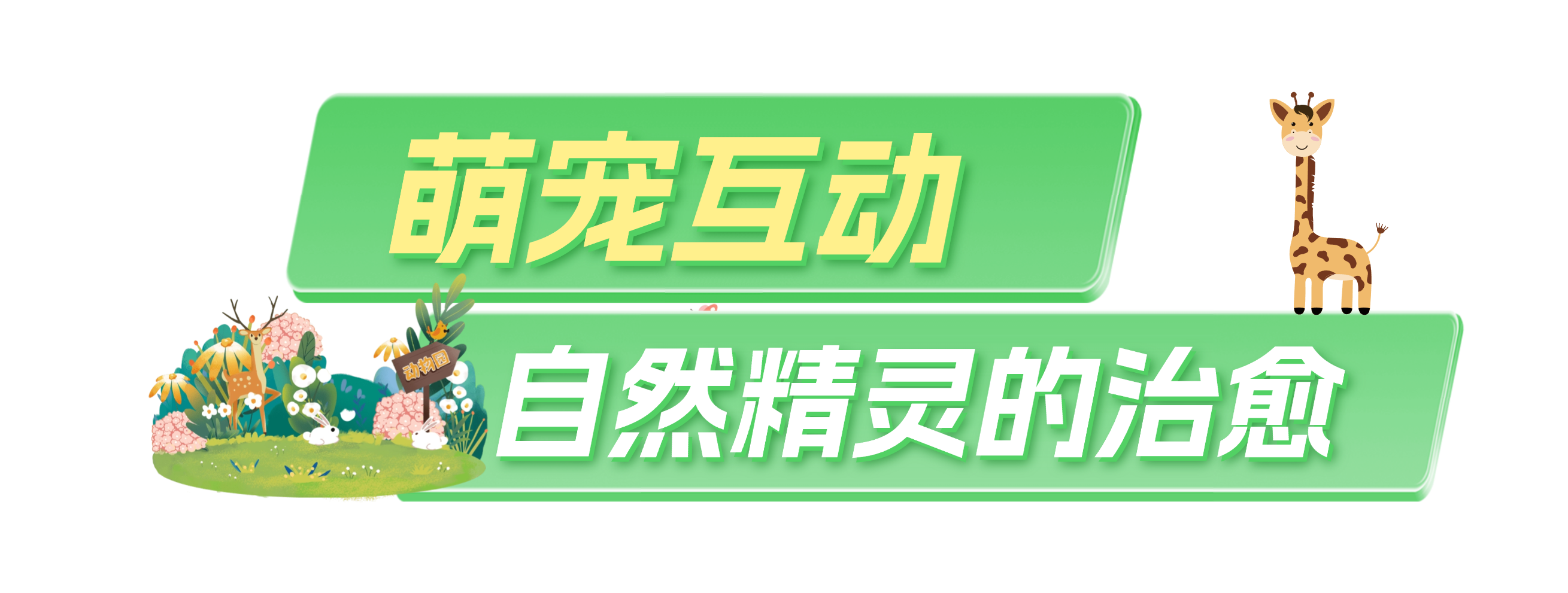 120238s24s13p04spia1an.png