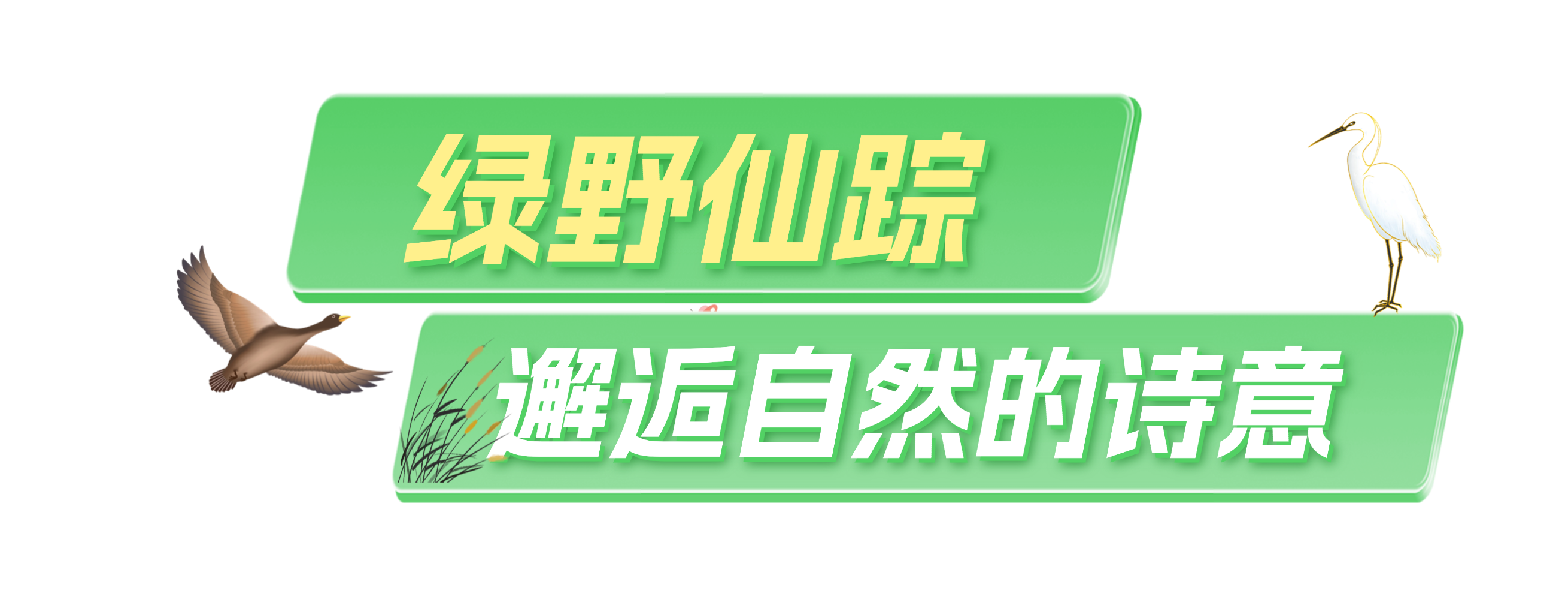 120238wantvph80zruu5m8.png