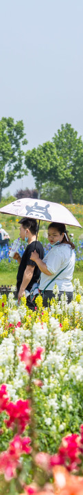 151607codt5rjtrct7p2wj.jpg