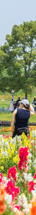 151607f0p4t4cz0u24p3u9.jpg