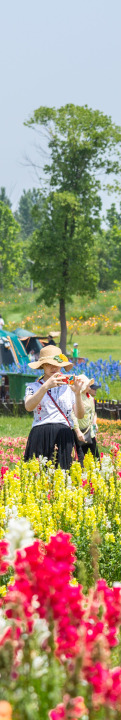 151607xeeoy8664q800eyt.jpg