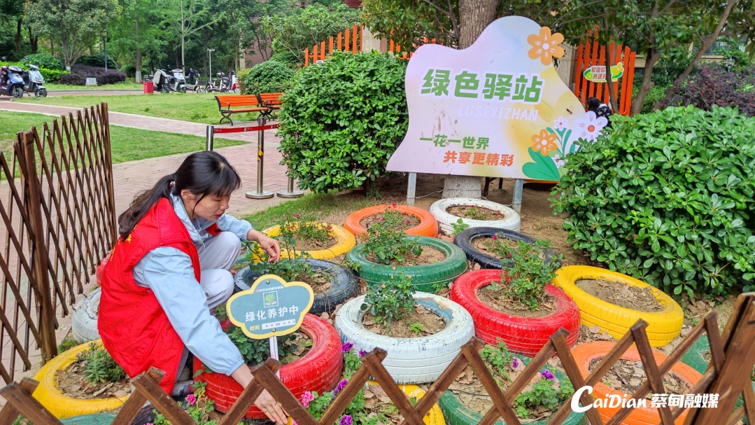 172108a9s8iw3pu9n9vxxx.jpg