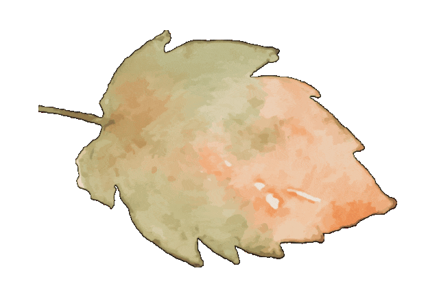 122546mwep4hsd4dbbz2kb.gif