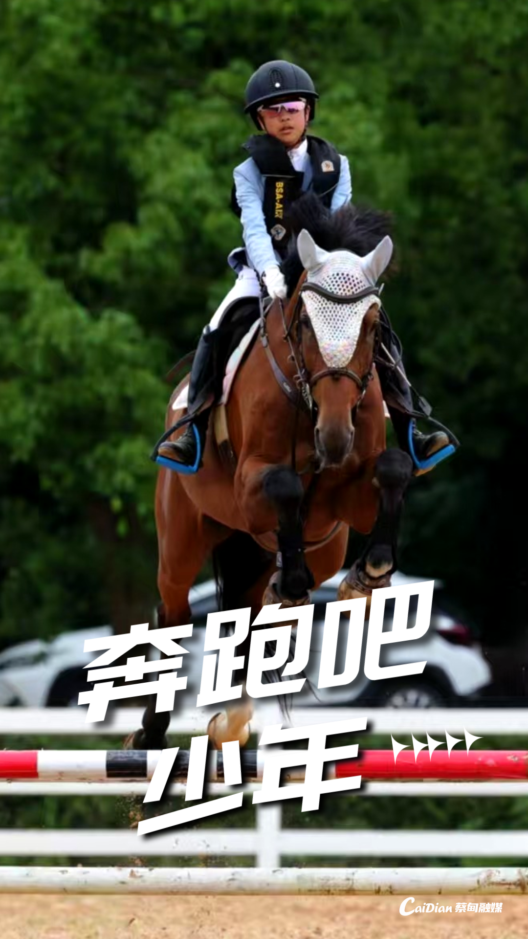 203511tjjx958f99j9jqjz.png