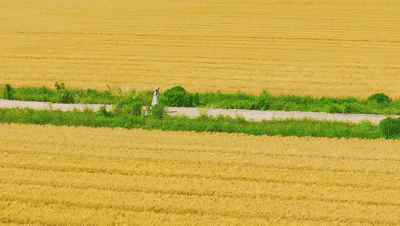 185359bl6xaap5a2d6zkm5.gif