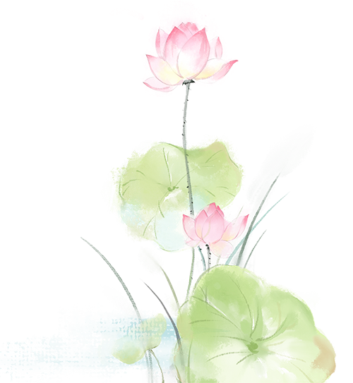 132918cskz72vnvu2ugb1f.jpg
