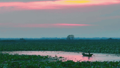 190538i1vlmjv8dzvnlnxq.gif