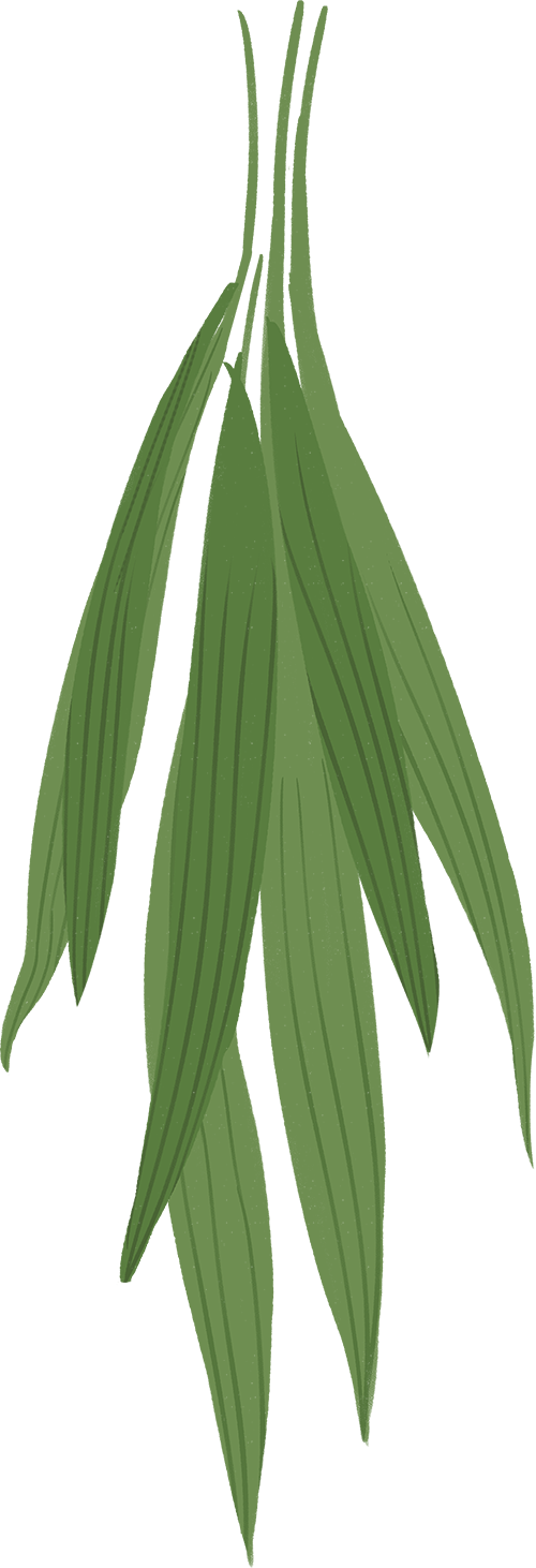 111213t81rg285e5kdfbbd.png