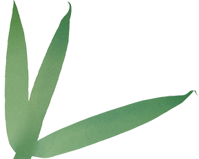 165626iercxpt5it9x3yy4.png