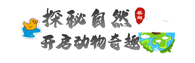 124044dm5z3kgpikop2b9i.gif
