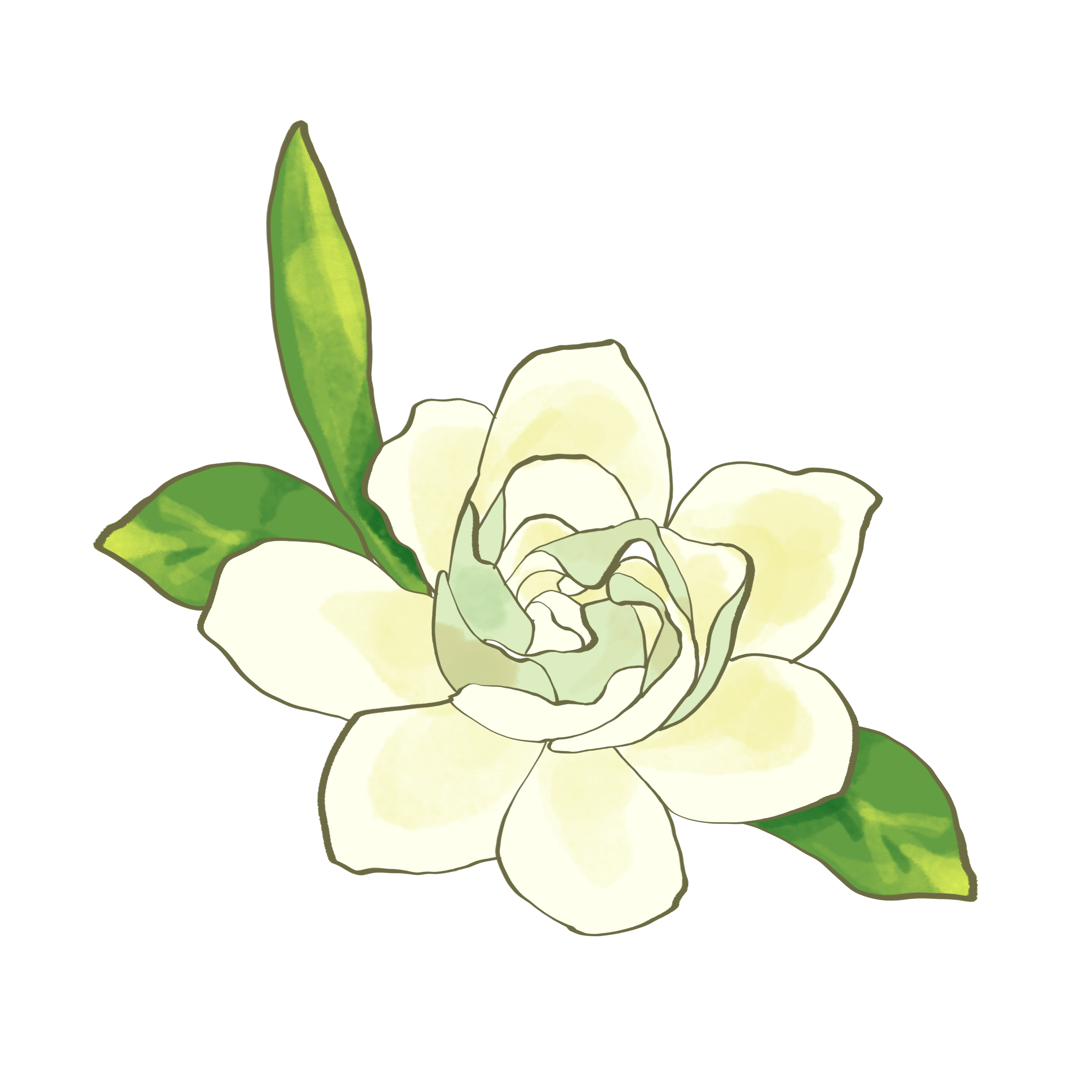 174334jz7322vqap7m0hkv.png