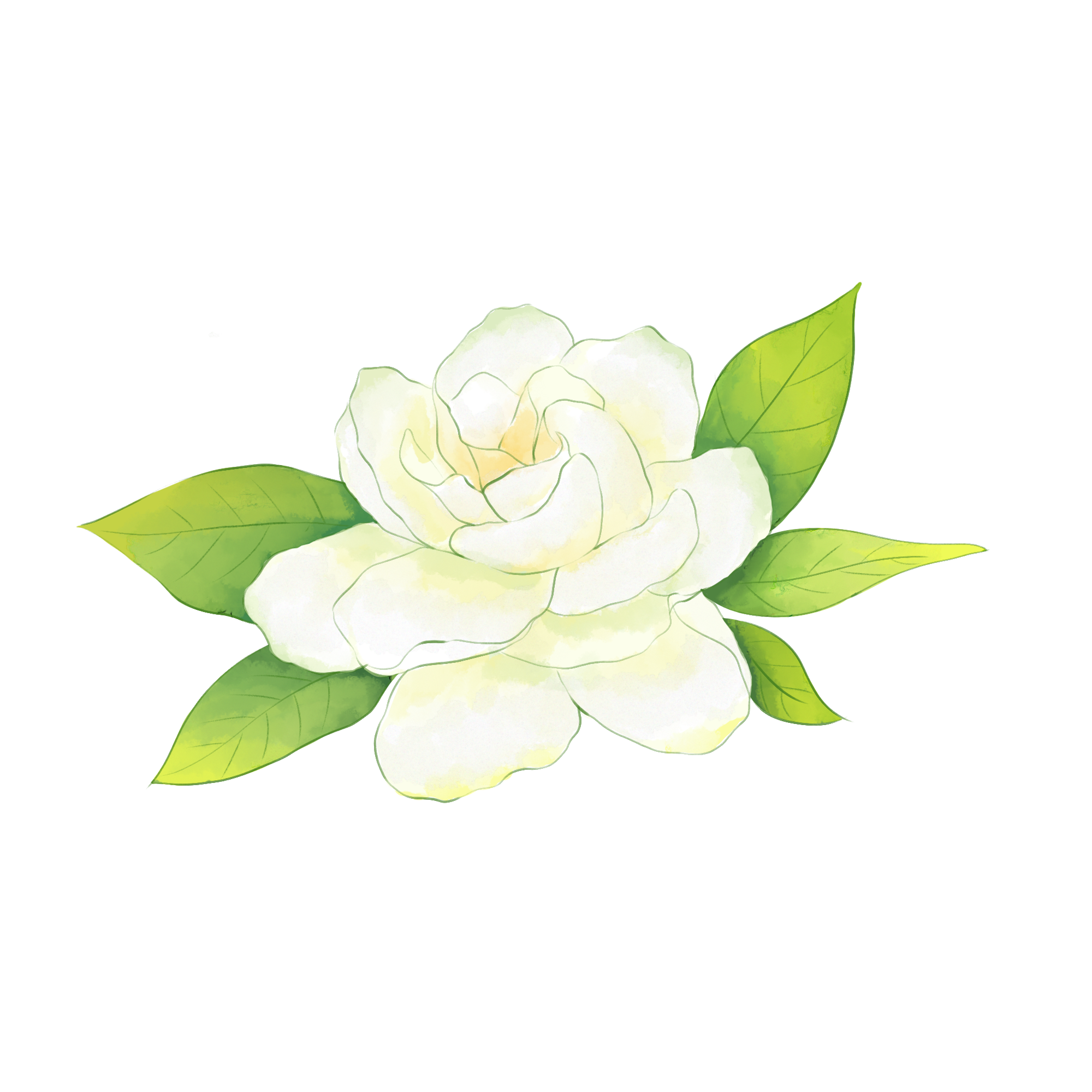 174335zoz9iddm4i7yz1lv.png