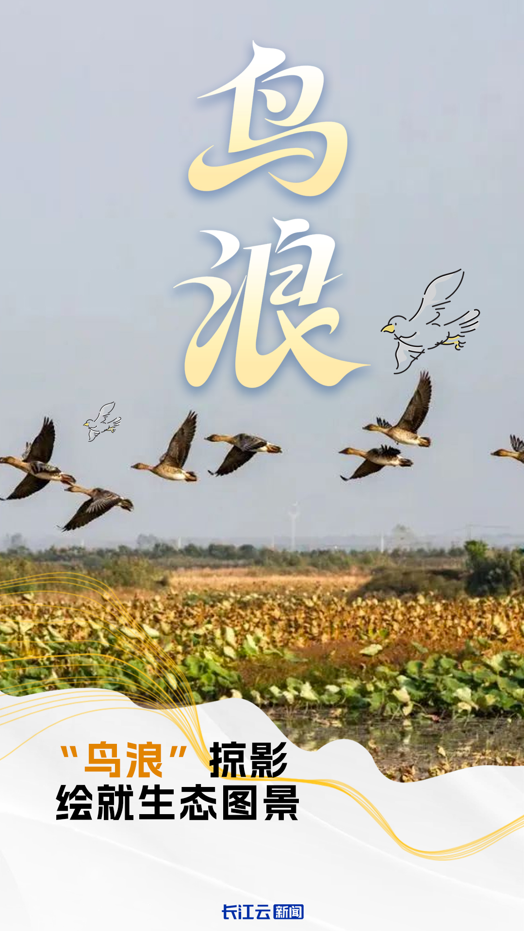 154501kydc6dklkdkzd6do.png