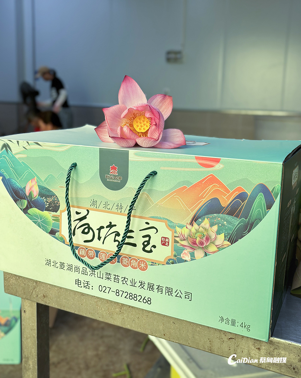 140138uclwdzlgssdhkysy.jpg