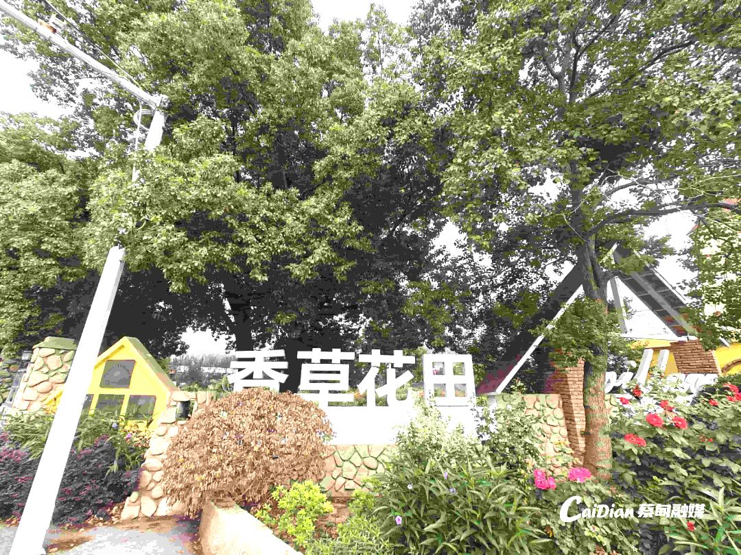 165846s0nluh51tukqhrck.jpg