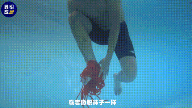 091648gdjsebb3hj4e3axj.gif