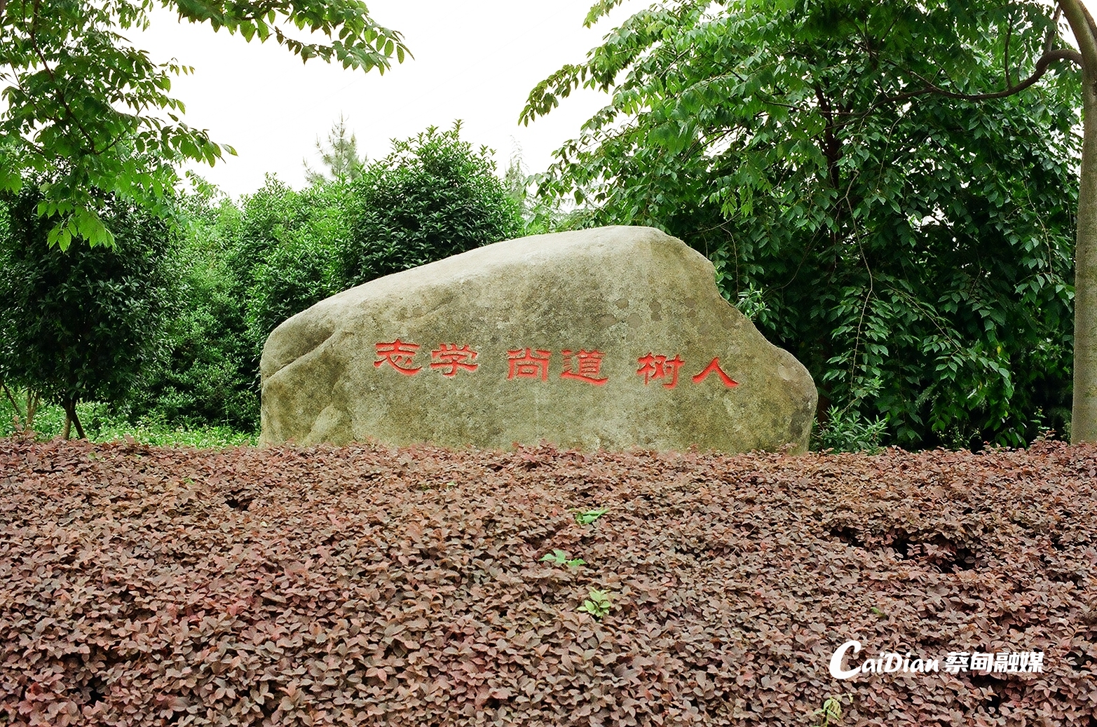 171824yrh18911uyih9u3n.jpg