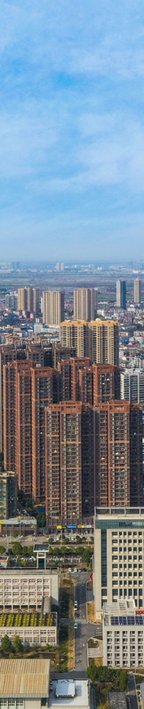 蔡甸新城